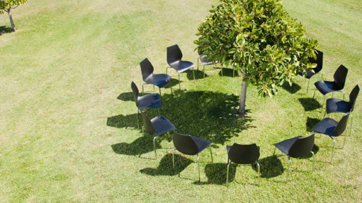 Chairs around a tree on a green lawn