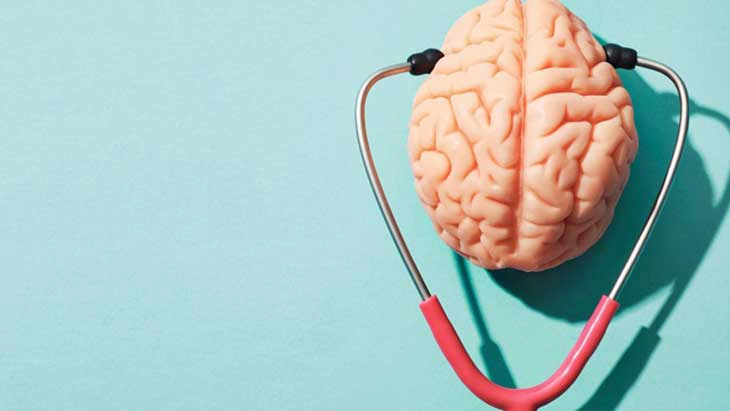 Stethoscope and model of human brain