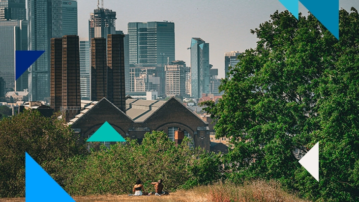 Planting trees in cities